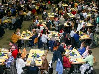 Cojellicos Jangen 16.4.2016 540